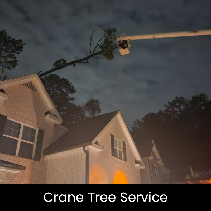 crane tree service