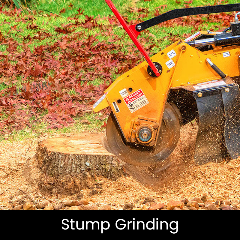 stump grinding